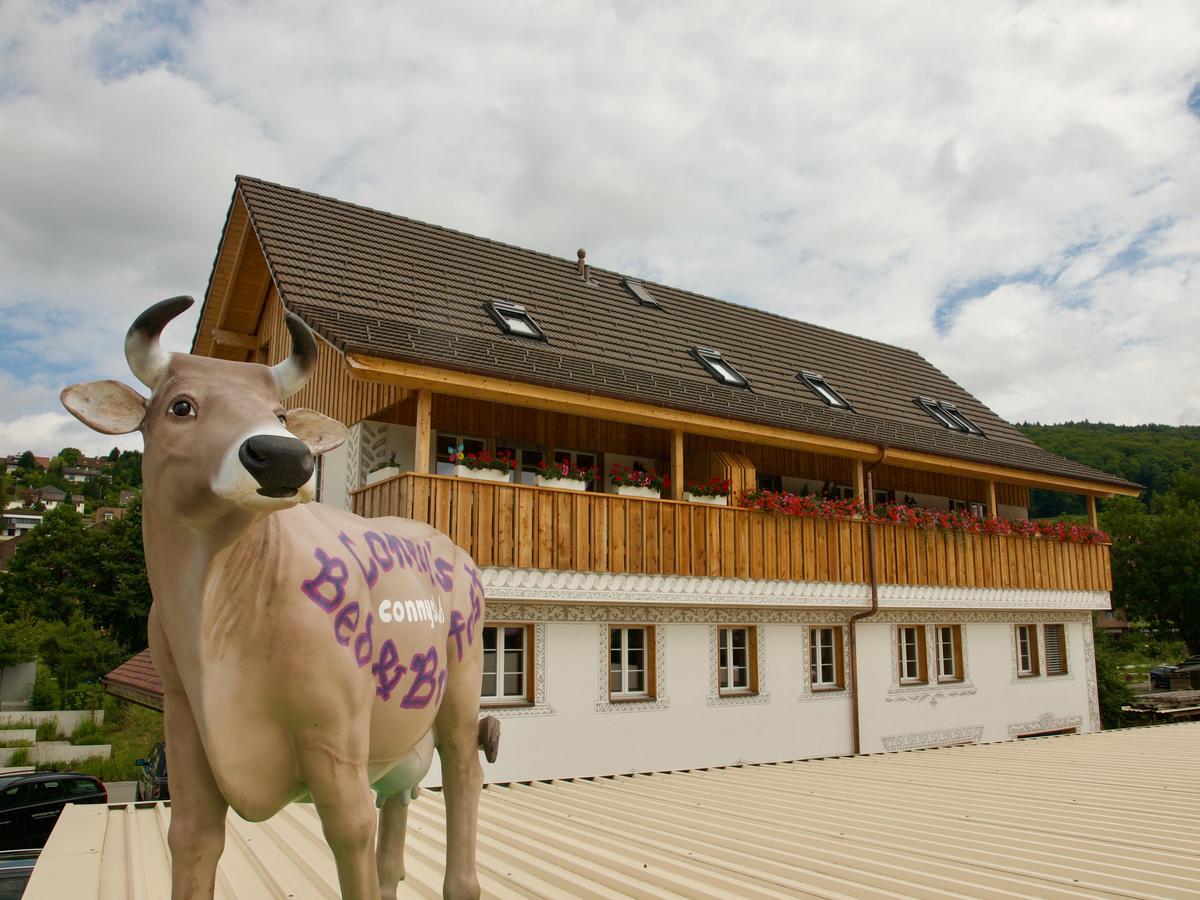 Conny'S B&B Niederweningen 외부 사진