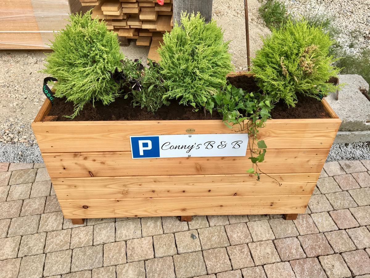 Conny'S B&B Niederweningen 외부 사진