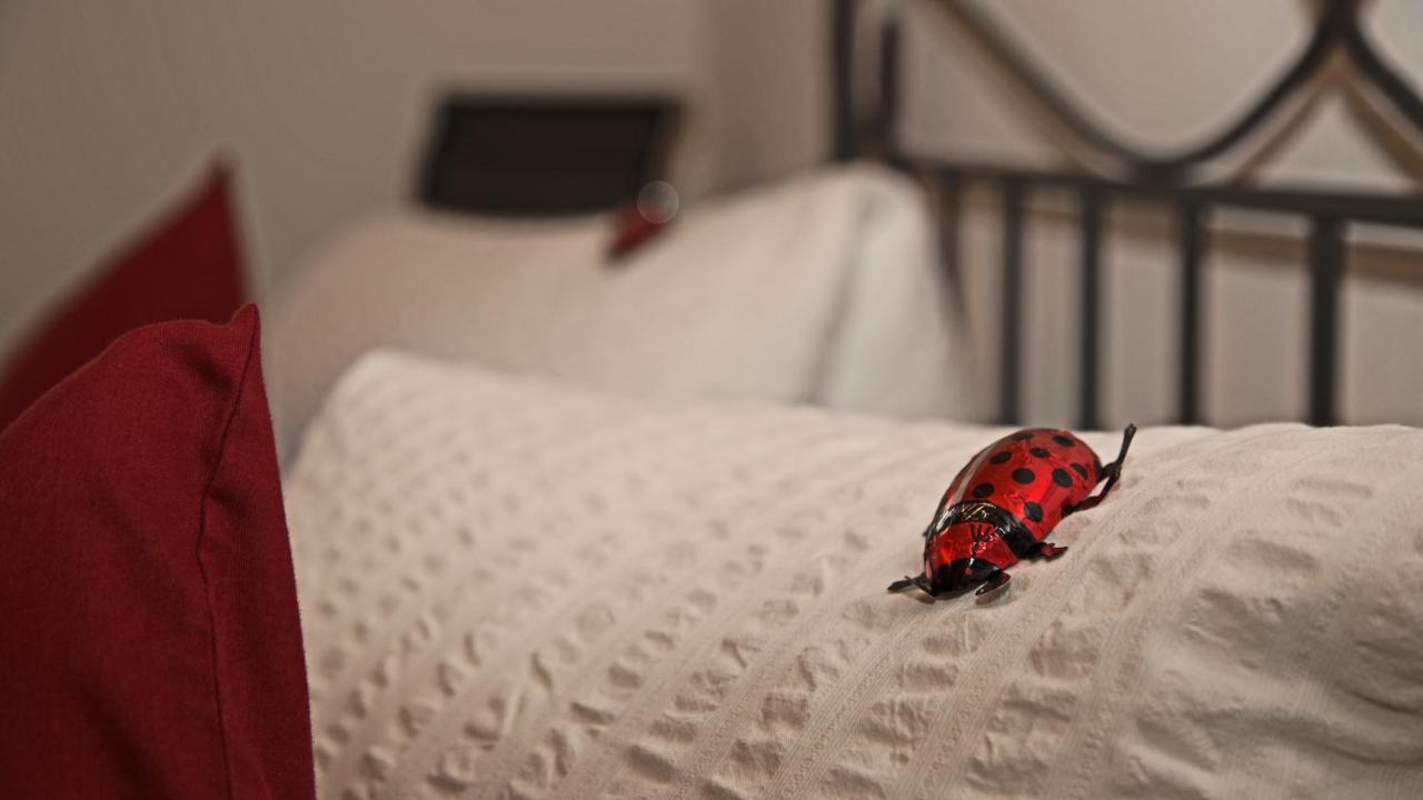 Conny'S B&B Niederweningen 외부 사진